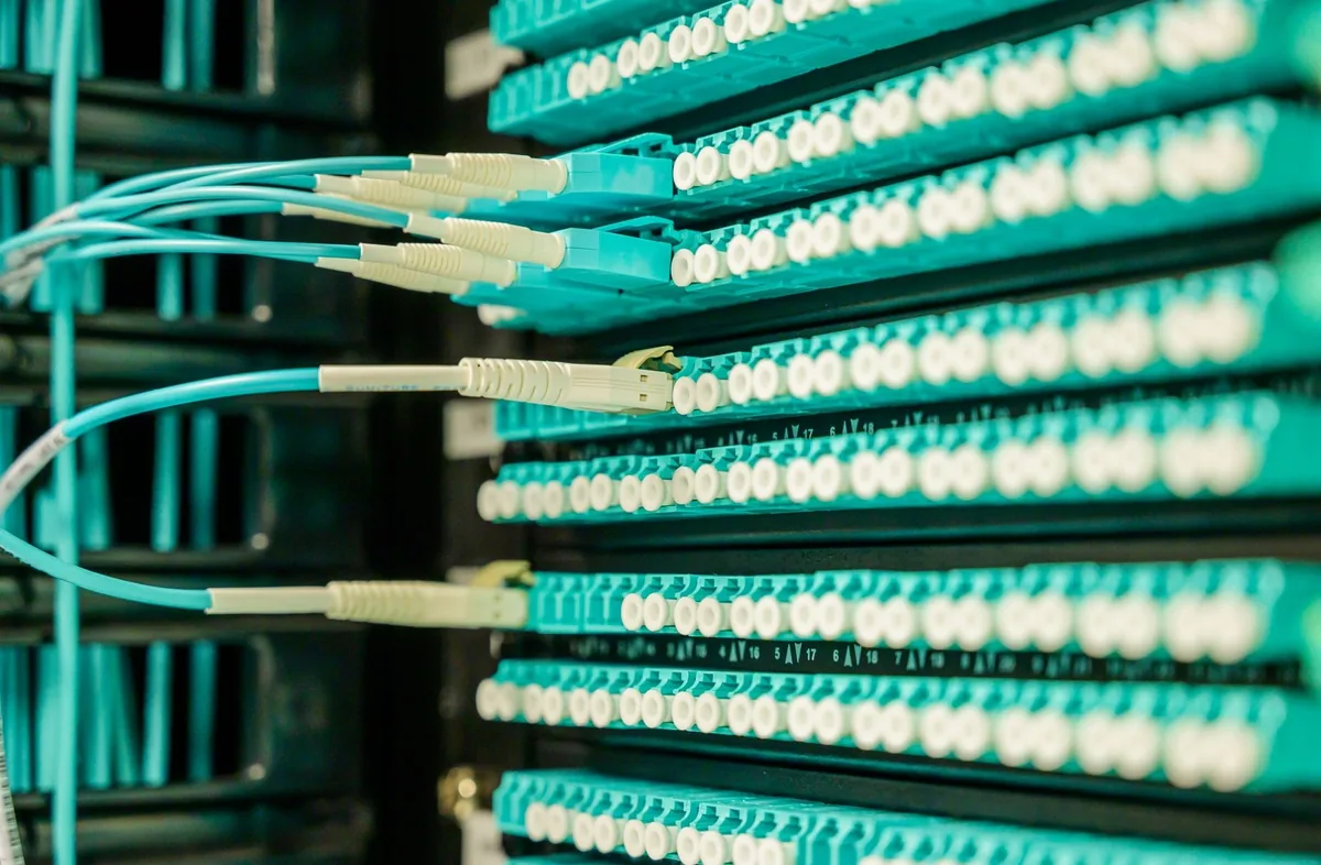 Networking cables plugged into a patch panel, showcasing data center connectivity.