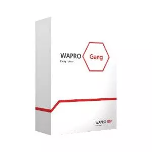 Wapro Gang — WAPRO Gang — rozliczenia umów cywilnoprawnych