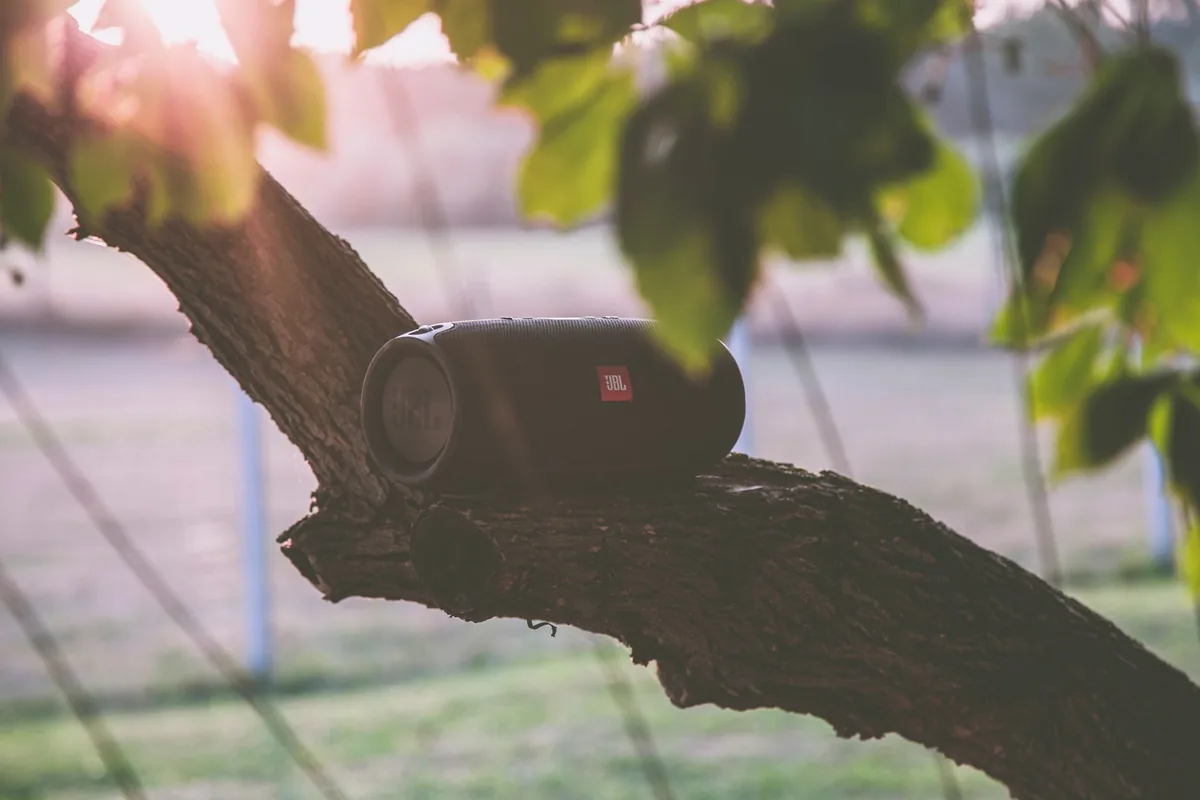 głośnik bezprzewodowy na gałęzi drzewa o zachodzie słońca — Bluesound Pulse Mini — czego przy tym sprzęcie nie zrobimy