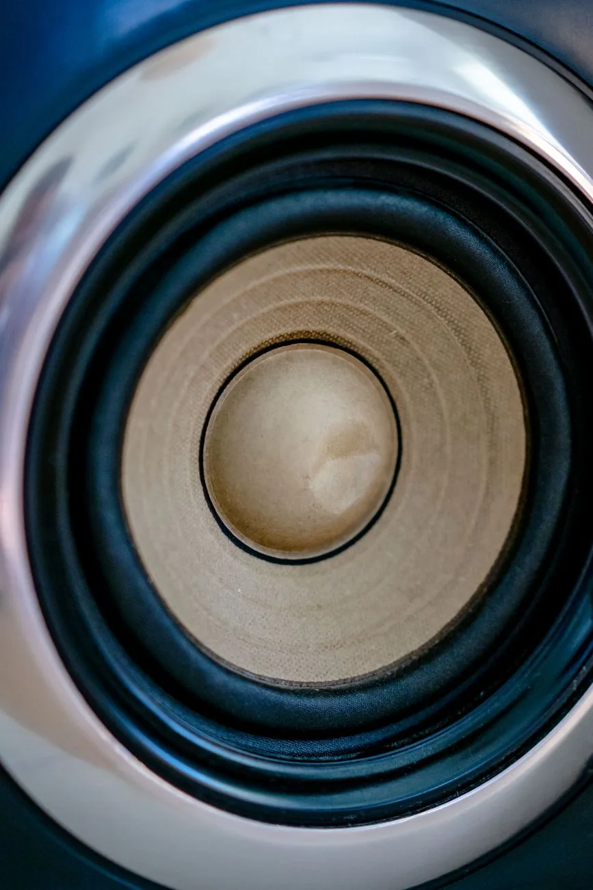 membrana głośnika audio w zbliżeniu — Dali Oberon 1 a zakres naszego serwisu — czym zajmujemy się zamiast