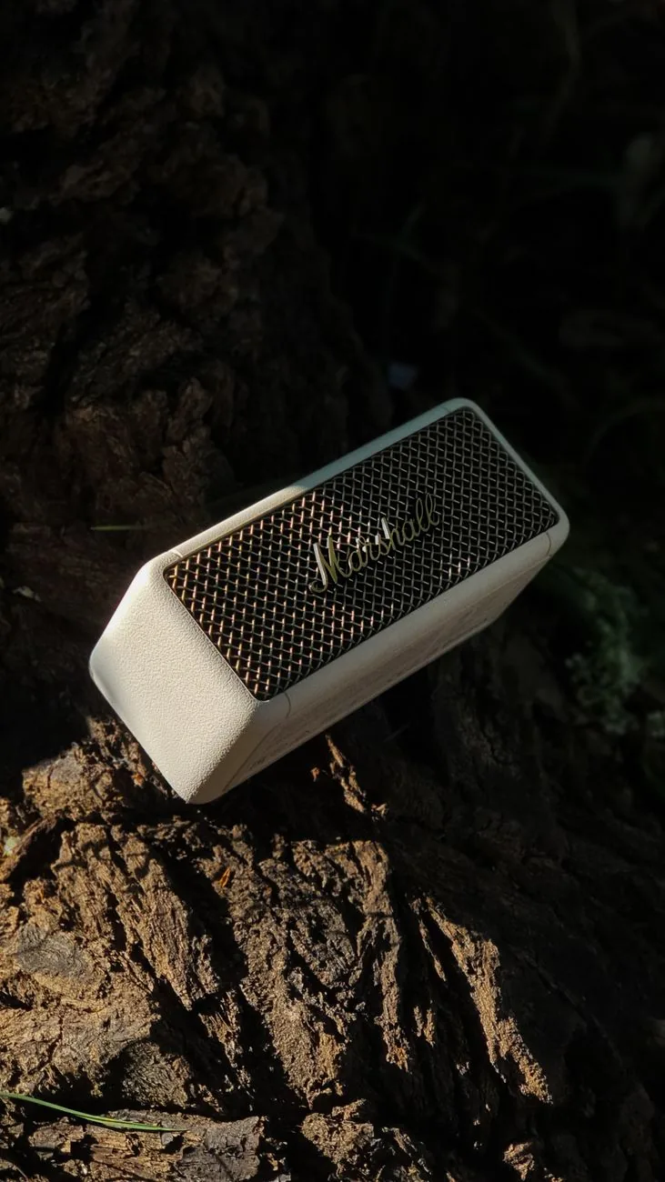 przenośny głośnik bezprzewodowy leżący na korze drzewa — Dlaczego nie bierzemy JBL Charge 5 do naprawy