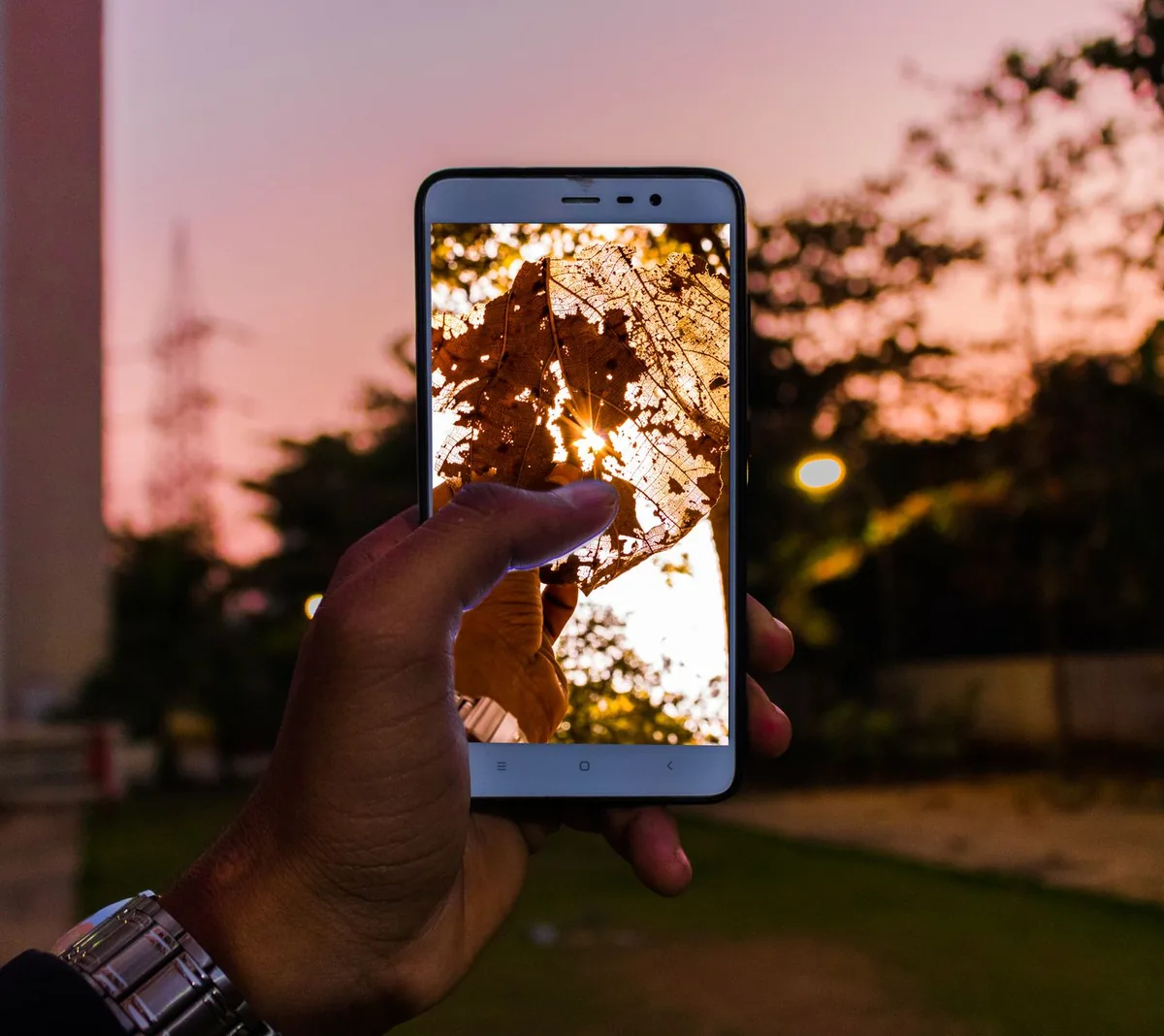 dłoń ze smartfonem wyświetlającym liść o zmierzchu — Dlaczego nie bierzemy POCO M3 Pro 5G do naprawy