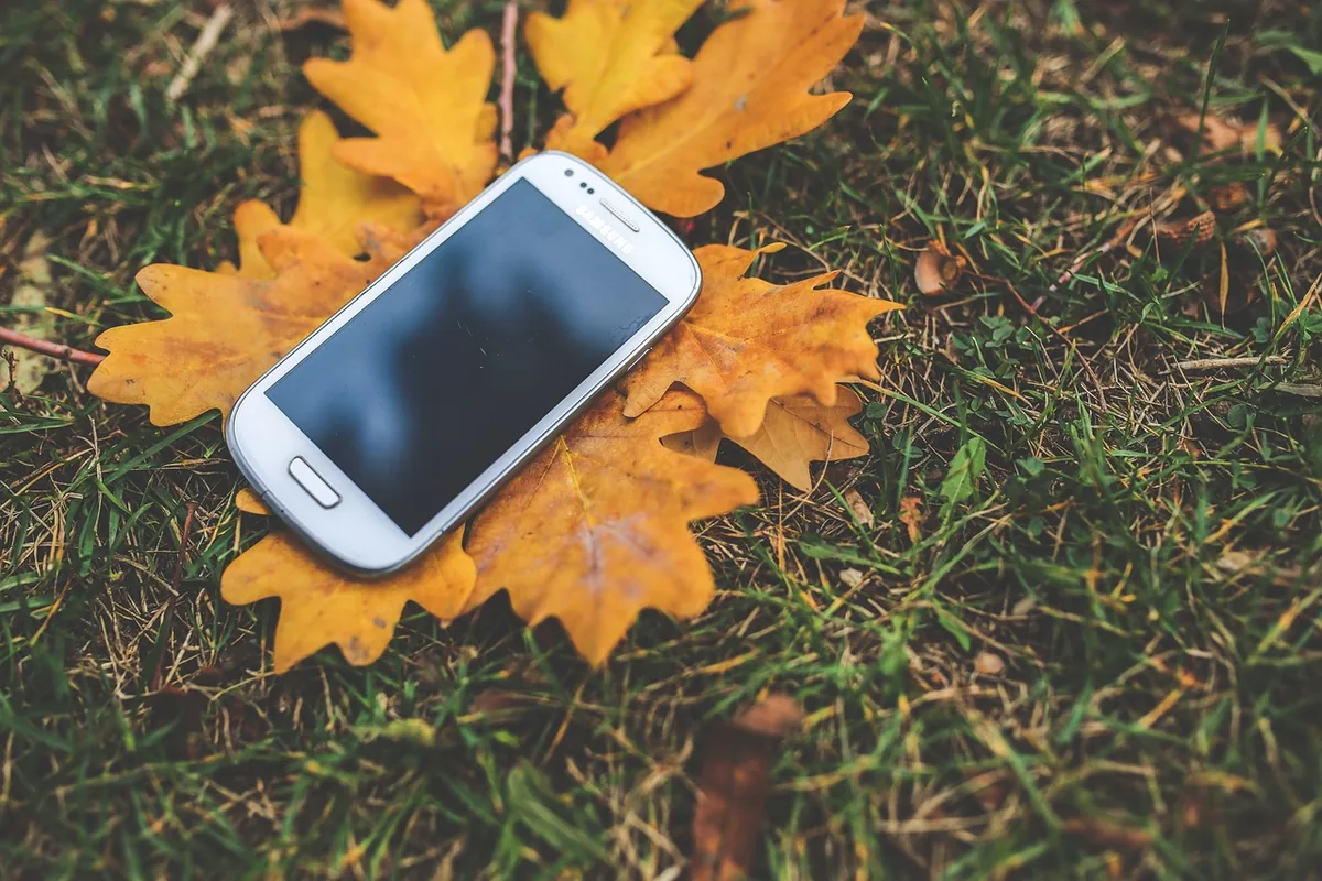 smartfon Samsung Galaxy wśród jesiennych, żółtych liści — Dlaczego nie bierzemy Samsung Galaxy S8+ do naprawy