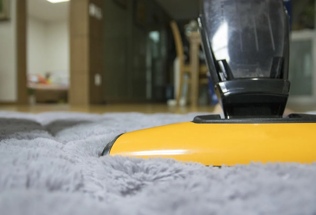 odkurzacz podczas czyszczenia dywanu — Electrolux UltimateHome 900 a zakres naszego serwisu — czym zajmujemy się zamiast