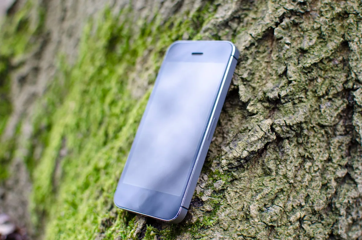smartfon oparty o pień drzewa pokryty mchem — Nokia X10 a zakres naszego serwisu — czym zajmujemy się zamiast