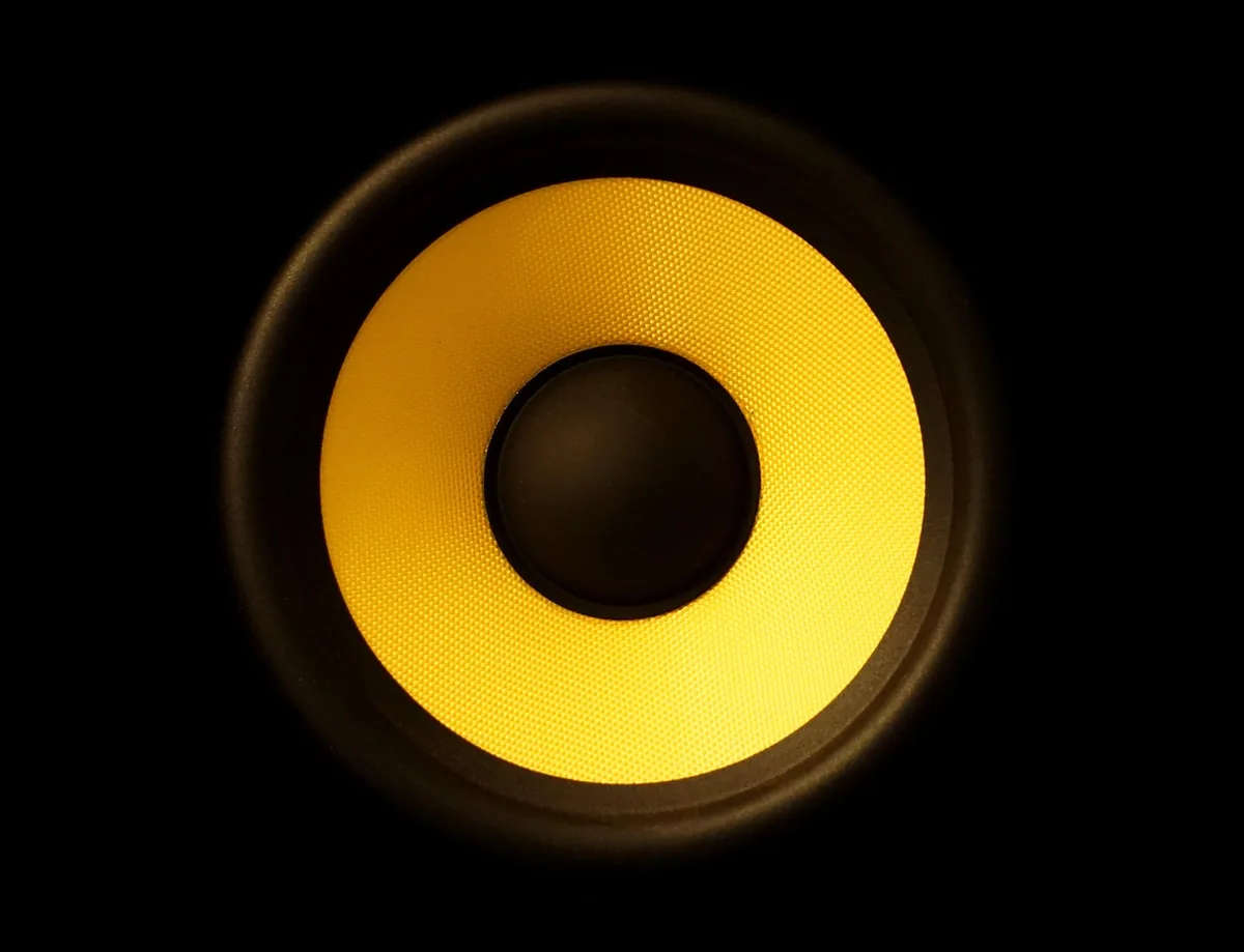 membrana kolumny głośnikowej w zbliżeniu — Polk Audio Signature Elite ES20 — czego przy tym sprzęcie nie zrobimy