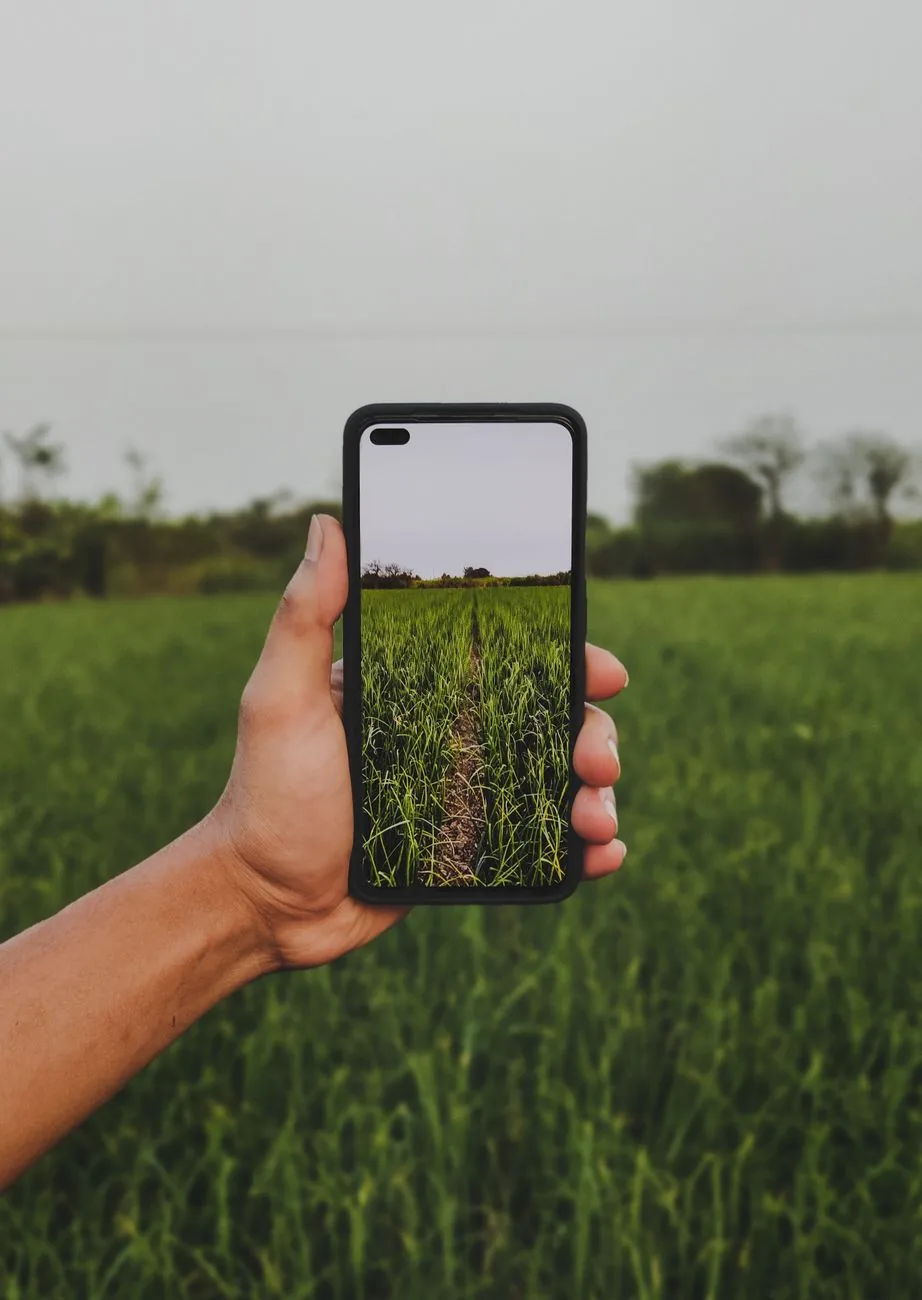 dłoń ze smartfonem na tle zielonego pola — Redmi 9T a zakres naszego serwisu — czym zajmujemy się zamiast