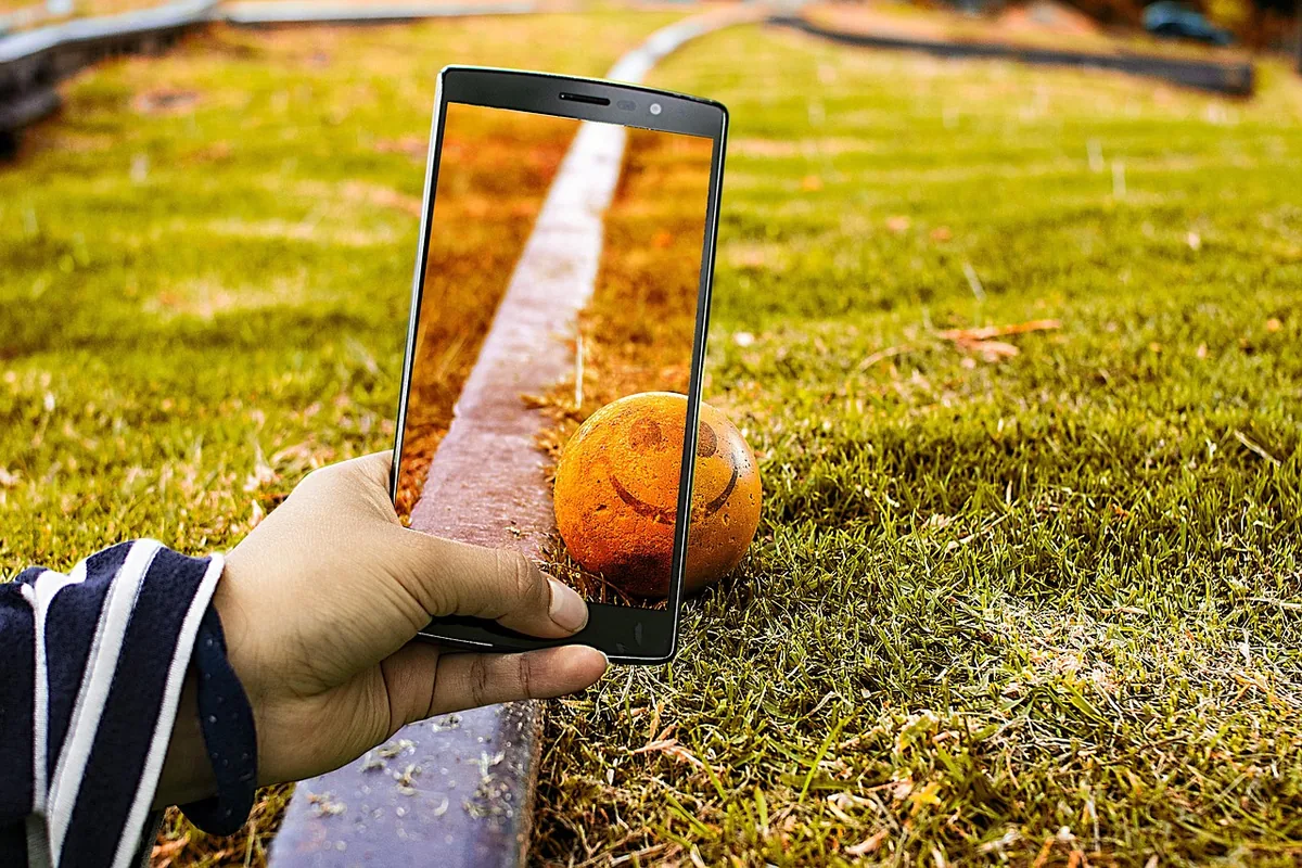 smartfon w otoczeniu natury — Redmi Note 5 a zakres naszego serwisu — czym zajmujemy się zamiast