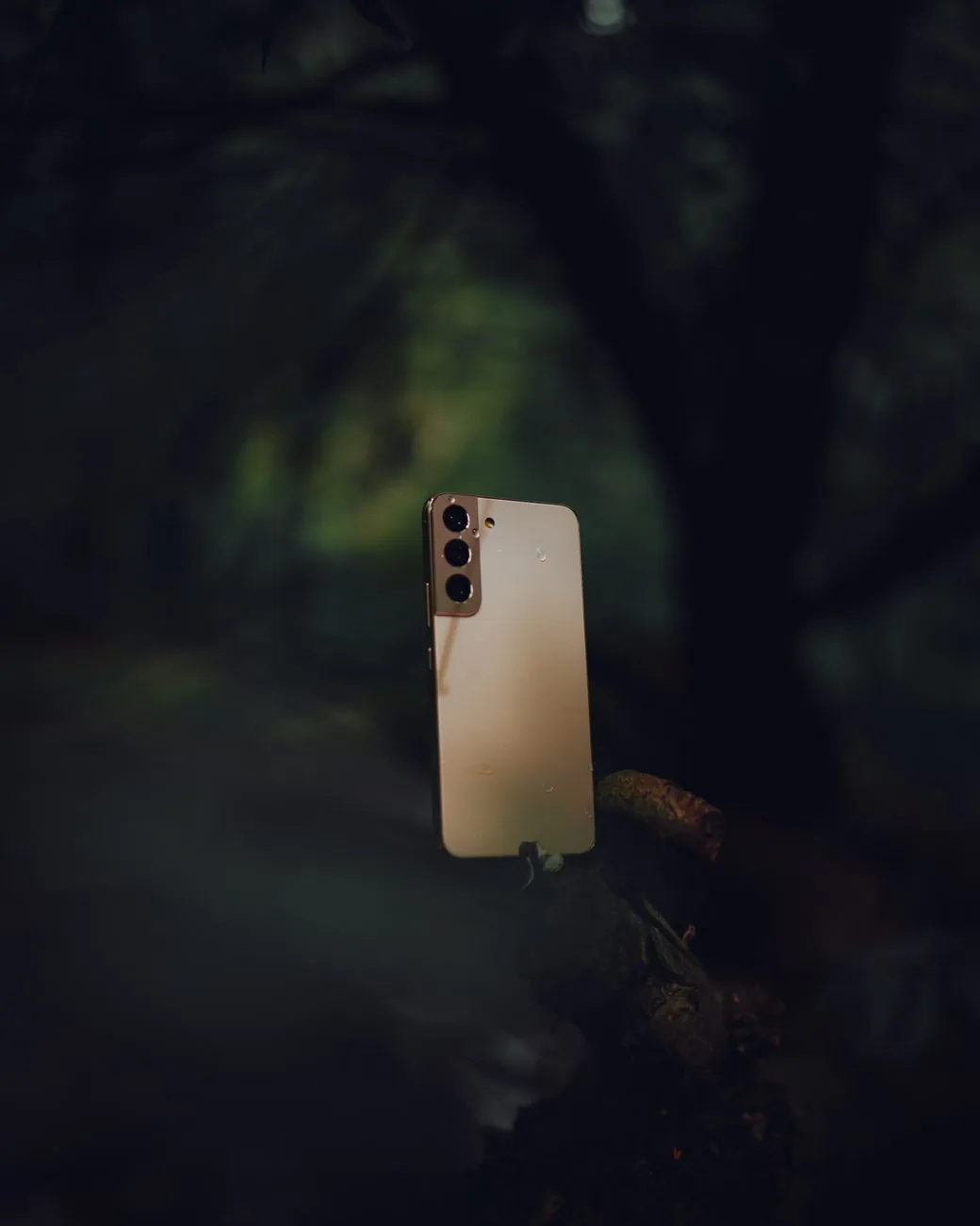 smartfon umieszczony na gałęzi drzewa na tle lasu — Samsung Galaxy A20 — czego przy tym sprzęcie nie zrobimy