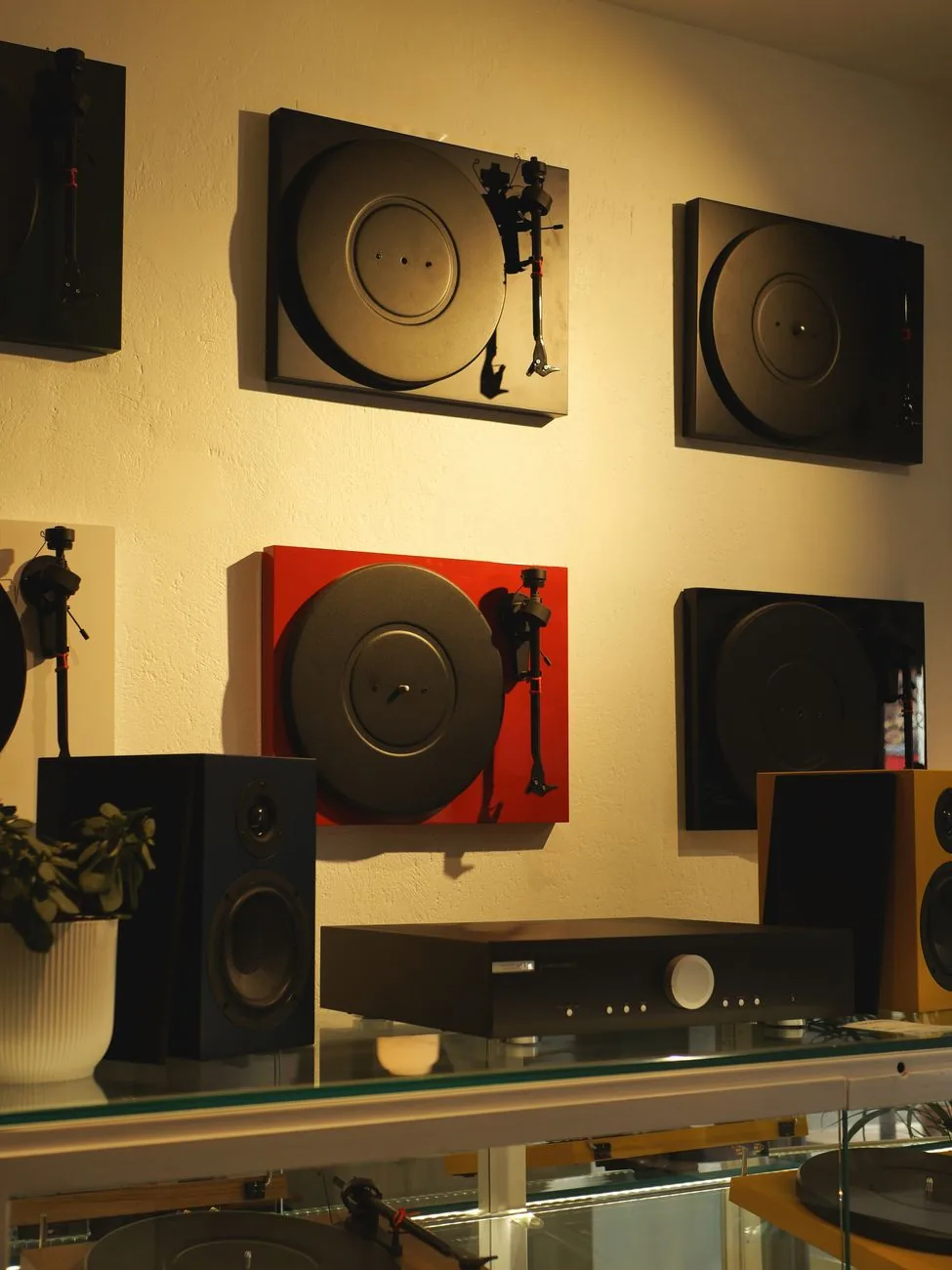 gramofony i głośniki na półkach w sklepie muzycznym — Sony PS-LX310BT poza naszym warsztatem — gdzie szukać pomocy
