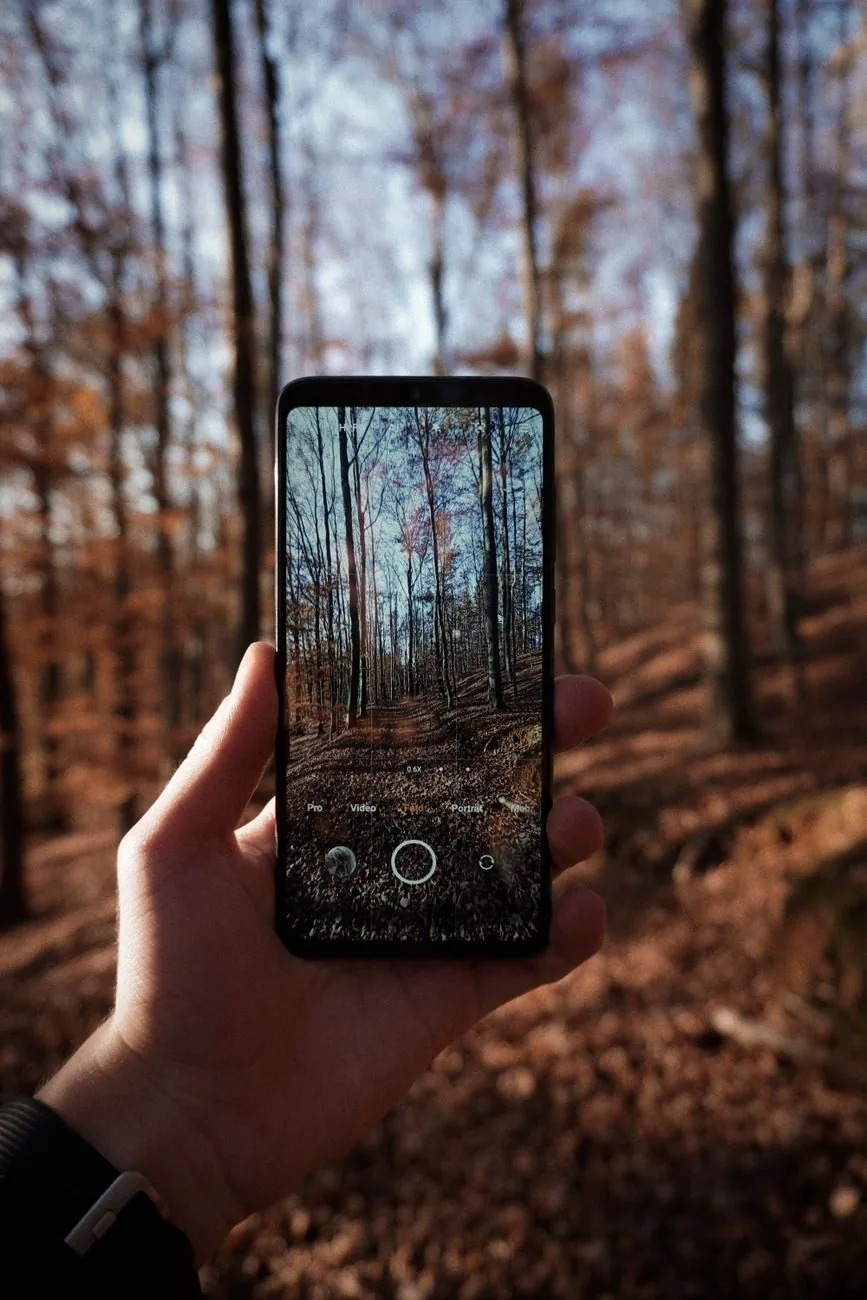 dłoń trzymająca smartfon na tle jesiennego lasu — Xiaomi Mi 11 w zgłoszeniu — jak odpowiadamy i co radzimy