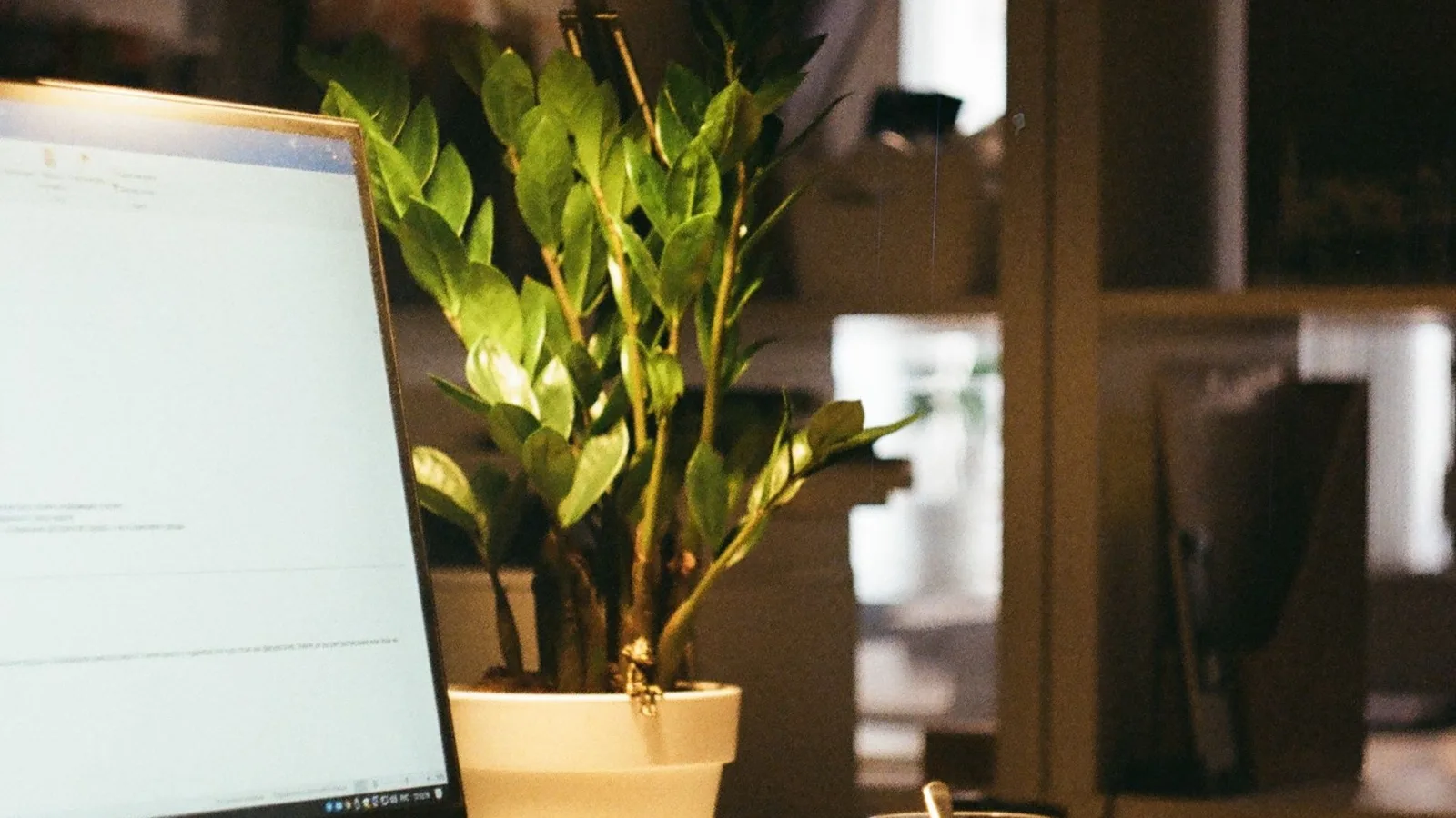 Awaria laptopa przed prezentacją lub egzaminem — Awaria komputera przed ważną rozmową wideo lub e-receptą