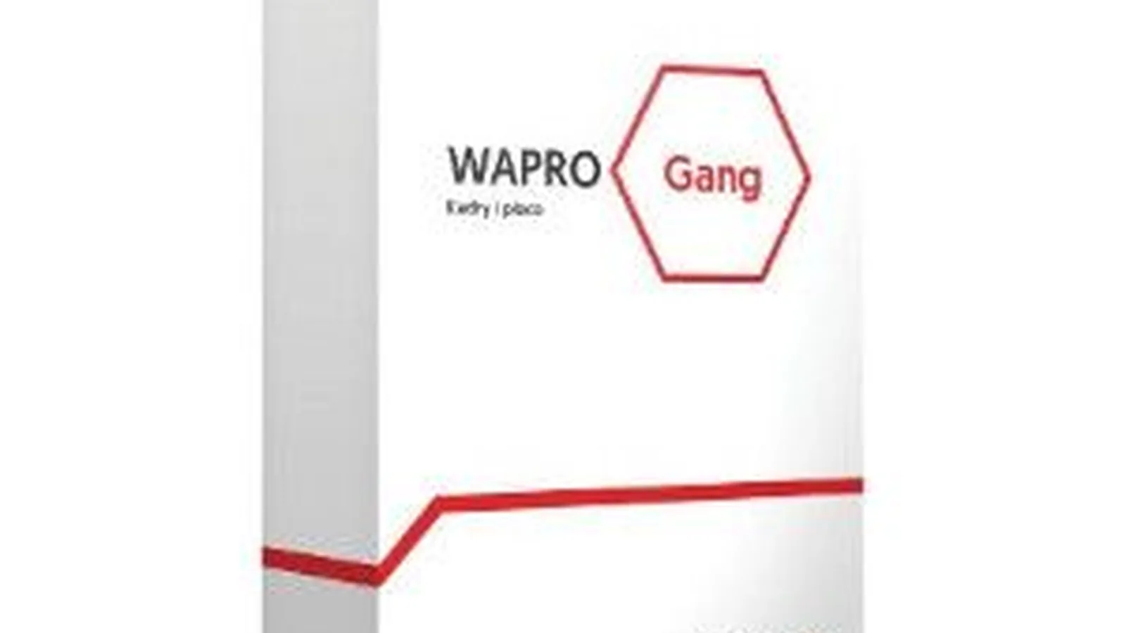 Pudełko programu kadrowo-płacowego WAPRO Gang