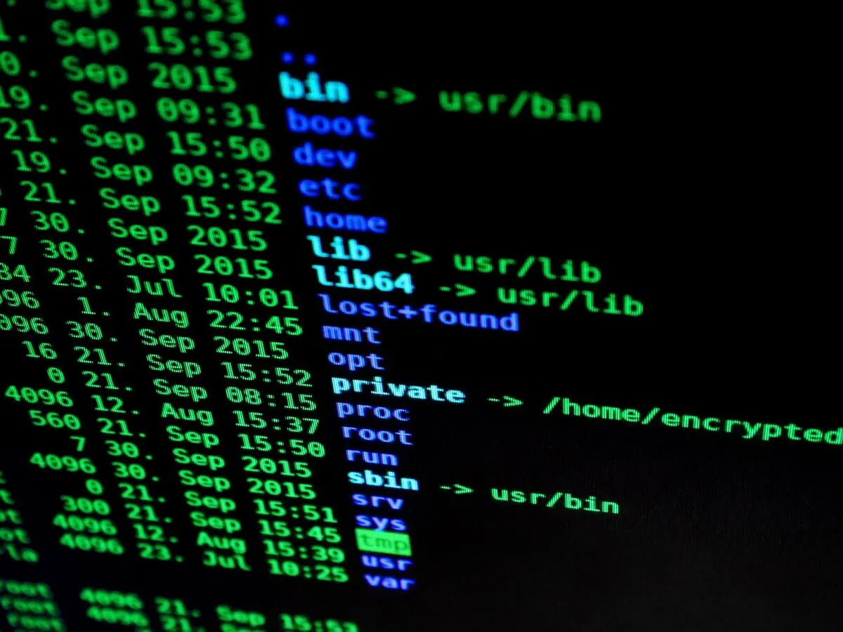 zbliżenie terminala z listą katalogów systemu Linux w kolorach zielono-niebieskich — Konfiguracja lokalnego AI do pracy z dokumentami firmowymi