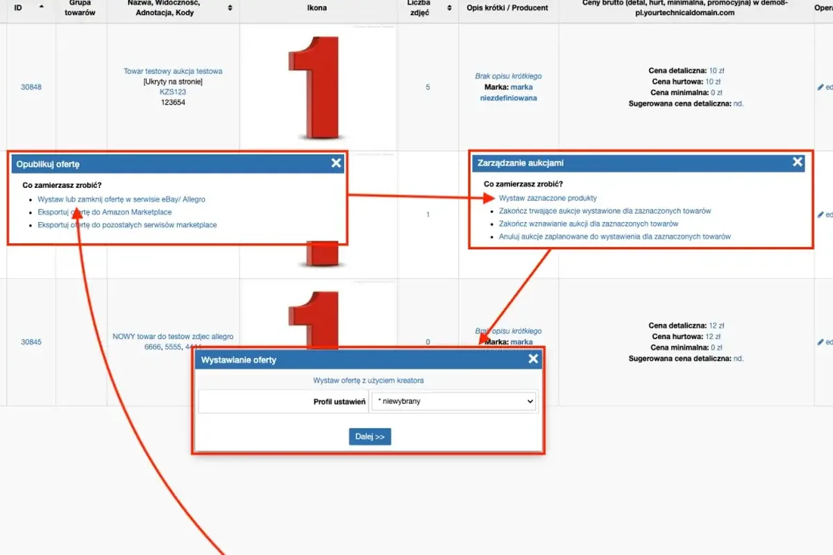 Zrzut ekranu panelu wystawiania ofert produktowych z okienkami zarządzania aukcjami
